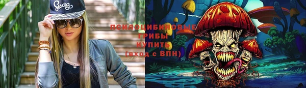 твердый Саяногорск